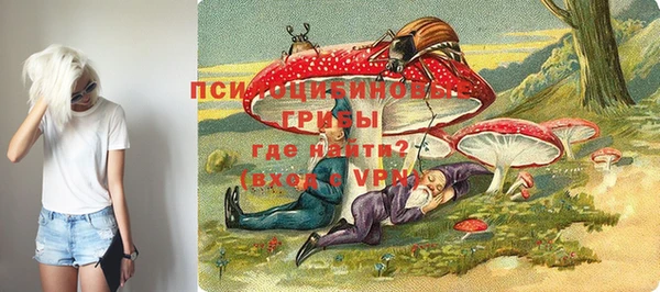 мдма Ельня
