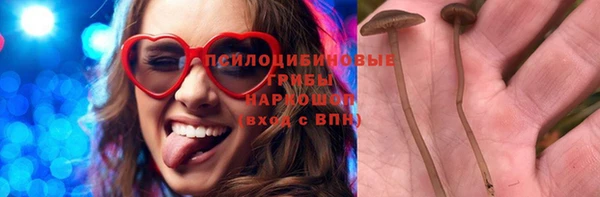 мдма Ельня